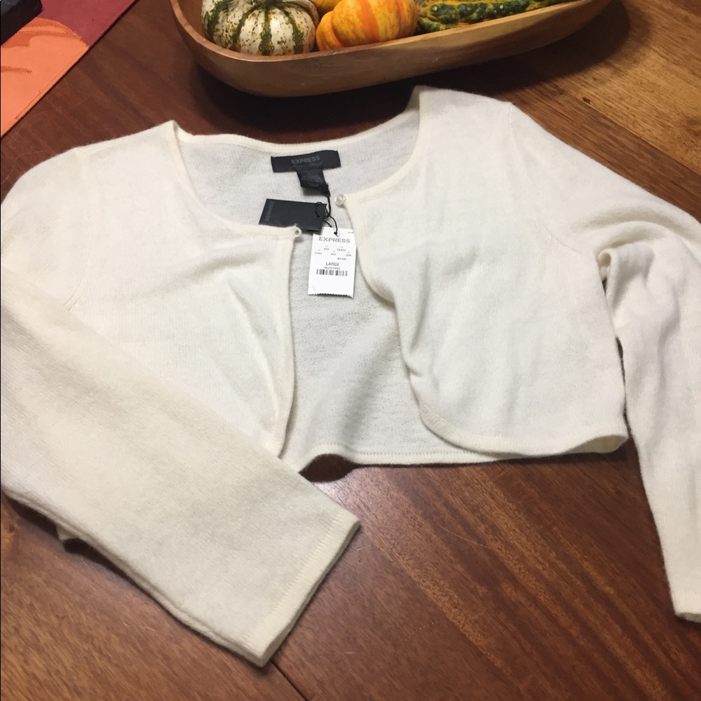 Express cropped sweater